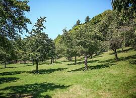 Holiday Home in Forest With Private Pool