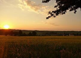 Holiday Home in Forest With Private Pool