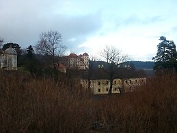 Holiday Home in Petrohrad With Private Pool