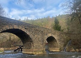 Holiday Home in Forest With Private Pool