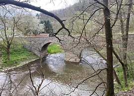 Holiday Home in Forest With Private Pool