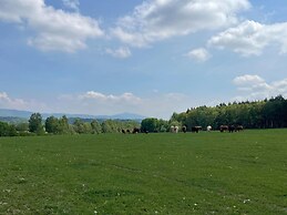 Cozy Holiday Home in Knezice