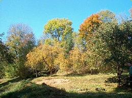 Apartment in Bohemian With Shared Pool