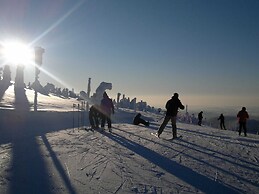 Attractive Apartment in Rokytnice nad Jizerou near Ski Area