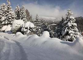 Lavish Cottage near Ski Area in Cerny Dul