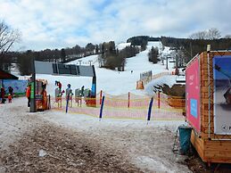 Lavish Cottage near Ski Area in Cerny Dul