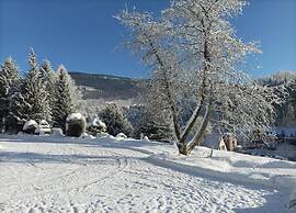 Lavish Cottage near Ski Area in Cerny Dul