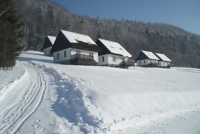 Mansion in Starkov With Shared Pool