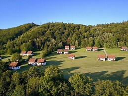 Mansion in Starkov With Shared Pool