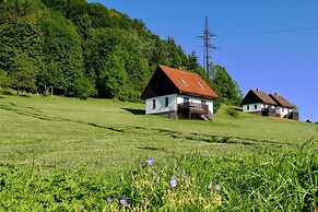 Mansion in Starkov With Shared Pool