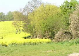 Einladende Ferienwohnung in Gerdshagen mit Garten