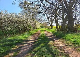 Einladende Ferienwohnung in Gerdshagen mit Garten