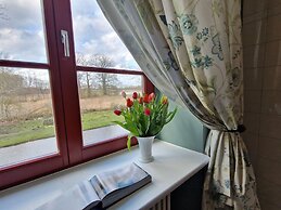 Modern Apartment in Satow With Garden