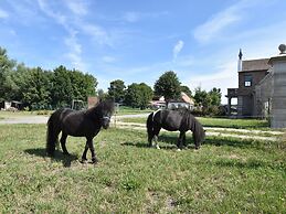 Flat in Detershagen With Private Terrace