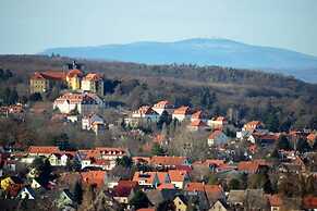 Spacious Villa With Private Swimming Pool