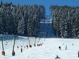 Pleasing Holiday Home near Ski Area in Schmallenberg Germany