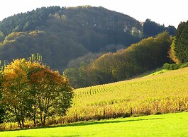 Pleasing Holiday Home near Ski Area in Schmallenberg Germany