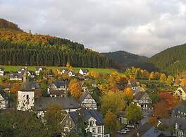 Ferienwohnung in der Nahe des Skigebietes
