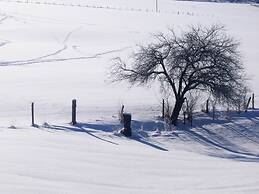 Beautiful Holiday Home Near the ski Area