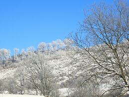 Beautiful Holiday Home Near the ski Area