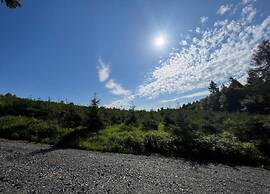 Fabulous Holiday Home in Olsberg near Ski Area