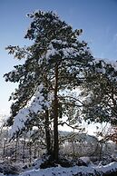 Boutique Apartment With Balcony