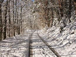 Boutique Apartment With Balcony