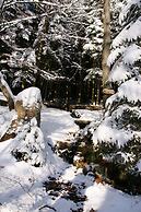 Boutique Apartment With Balcony