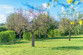 Vista Alegre - Villa With Private Pool In Manacor
