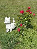 Cosy Holiday Home - Pets Welcome