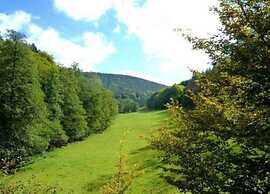 Idyllic Flat in Mossautal With Garden