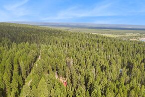 Lodgepole Lookout
