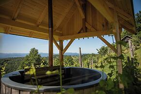Vineyard cottage Škatlar 3