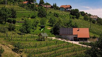 Vineyard cottage Škatlar 3