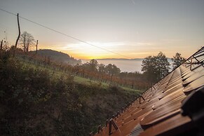 Vineyard cottage Škatlar 3
