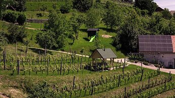 Vineyard cottage Škatlar 3