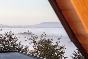 Vineyard cottage Škatlar 3