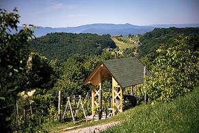 Vineyard cottage Škatlar 3