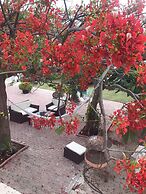 Ocean Front Property - Villa 5 Aruba Stunning