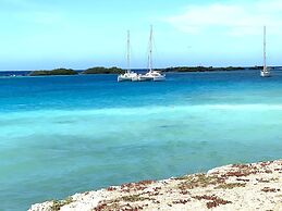 Ocean Front Villa in Aruba - Stunning Full House