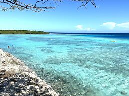 Ocean Front Villa in Aruba - Stunning Full House