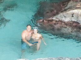 Ocean Front Villa in Aruba - Stunning Full House