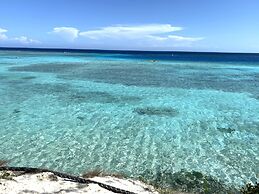 Ocean Front Villa in Aruba - Stunning Full House