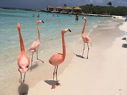 Beachfront Bella Horizonte 2