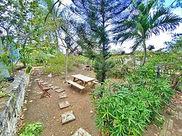 Sugar Apple Bed & Breakfast