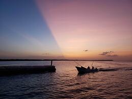 Ecoco Holbox - Ecochic - Holbox Retreat - Adults Only