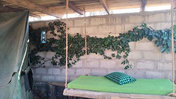 View Mountain House - Backpackers