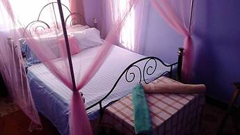 View Mountain House - Backpackers