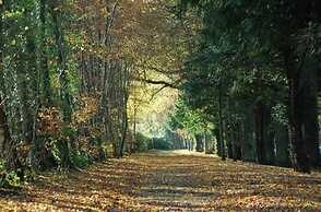 Lovely Cottage in Garden Grounds Near Centre