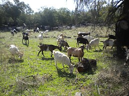 Cosy Holiday Home With Garden in Leonidio